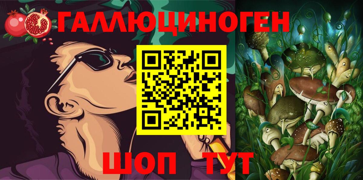 Канаш  Псилоцибиновые грибы Psilocybe  Вход с VPN 