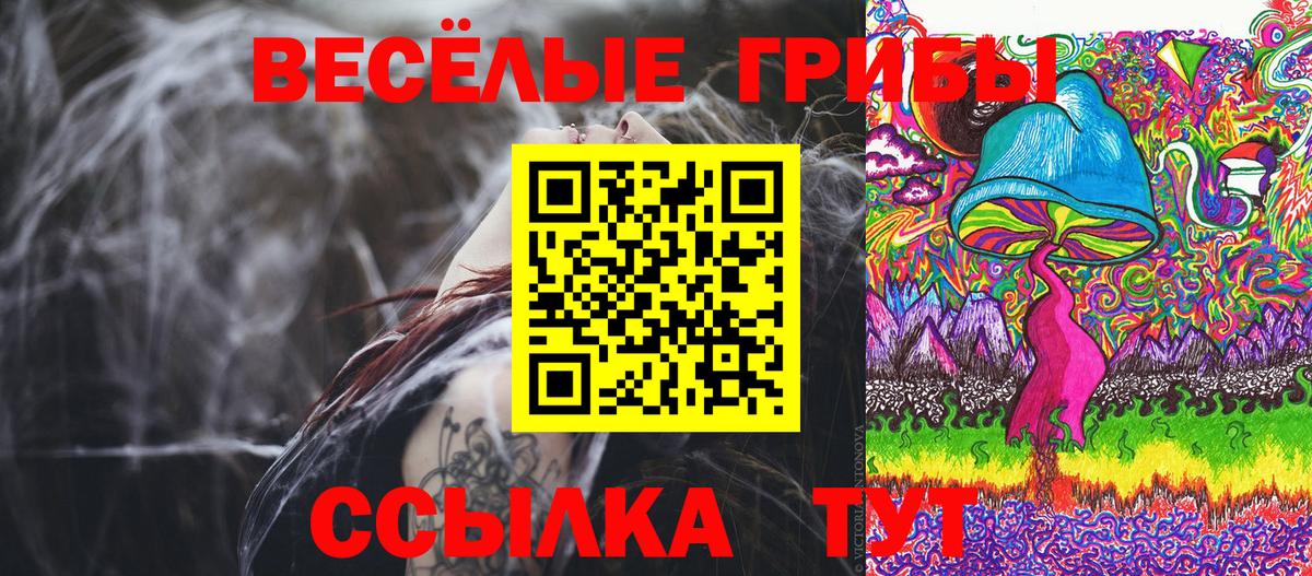 Псилоцибиновые грибы мухоморы Канаш